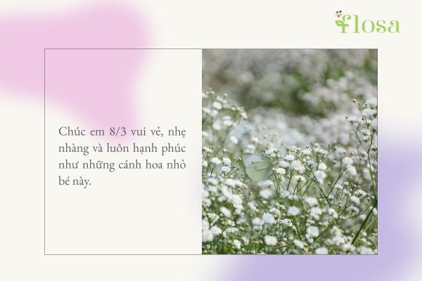 lời chúc 8/3 cho người yêu 4