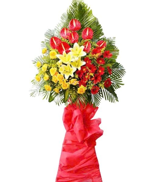 Hoa Khai Giảng: Kệ Hoa Vũ Khúc Thành Công - HCM21