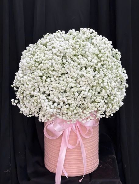 Hộp Hoa Tươi: Hộp Hoa Khu Vườn Dịu Dàng - HH227