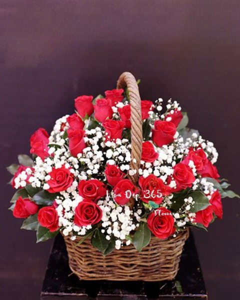 Giỏ Hoa Khai Trương: Yêu Thương Đong Đầy - HG42