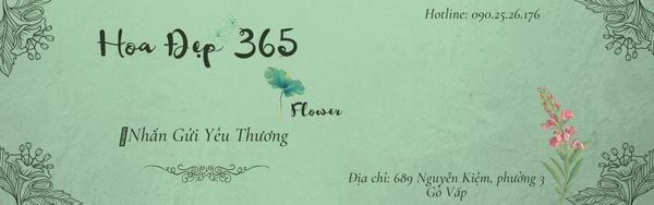 Cúc vạn tho