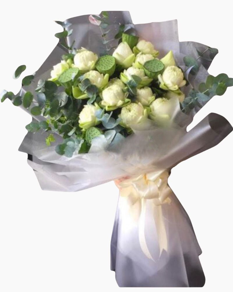  Bó Sen Trắng Tinh Khiết - HBD88 