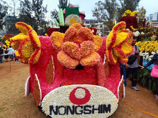Hoa trong tâm hồn người dân