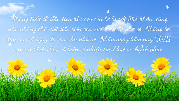 lời chúc 20/11 hay, ý nghĩa