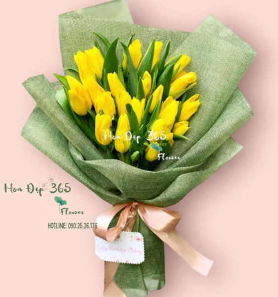 Một tình yêu đẹp và giản dị từ hoa Tulip