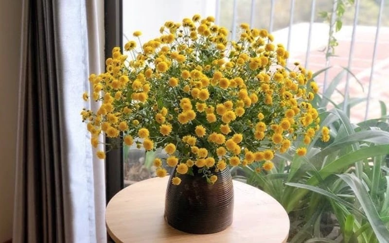 Bình hoa cúc trang trí nhà cửa