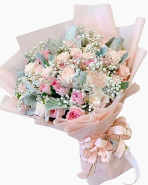 Hoa Bó Dài: Niềm Vui Mới - HBD208