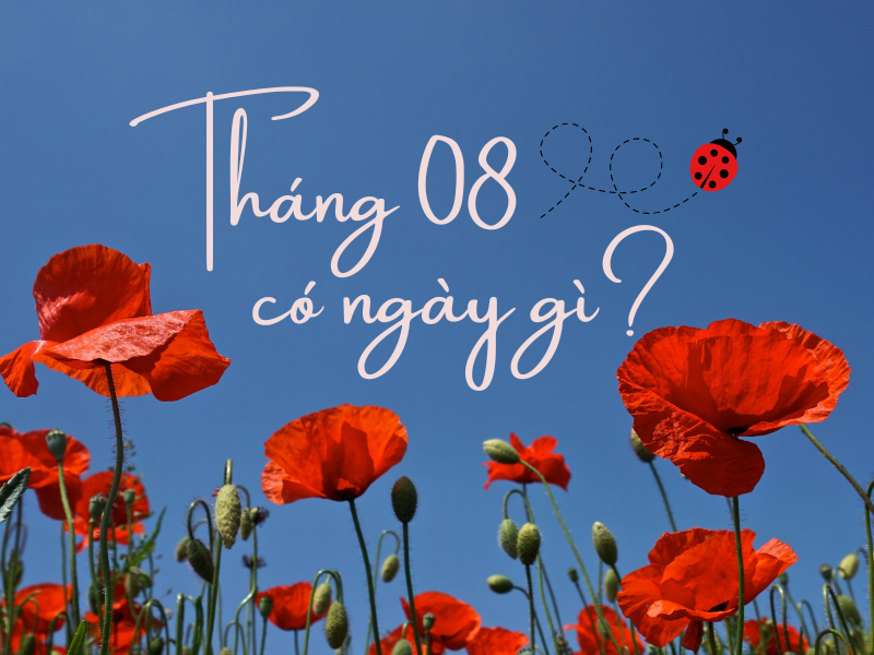 Tháng 8 Có Ngày Lễ Gì? Ngày Lễ Tháng 8 Việt Nam & Quốc Tế 2026