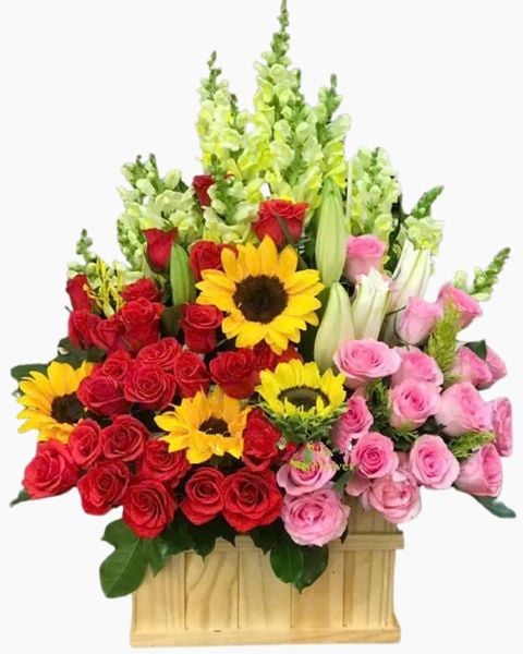  Hộp Hoa Để Bàn Khai Trương Sunny - HCH73 