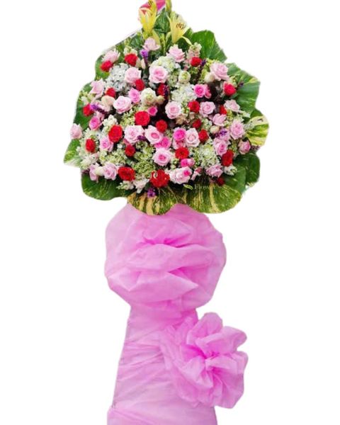Hoa Khai Giảng: Kệ Hoa Thanks - HCM29