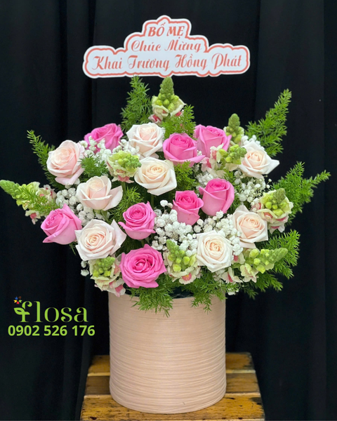  Hộp Hoa Tinh Tú - HH113 