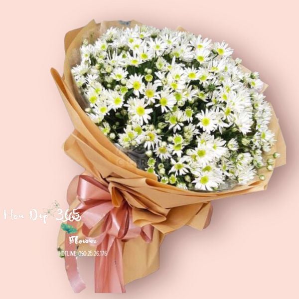 Super-sized daisy bouquet - HBT63 for gifting to bosses on 20/10