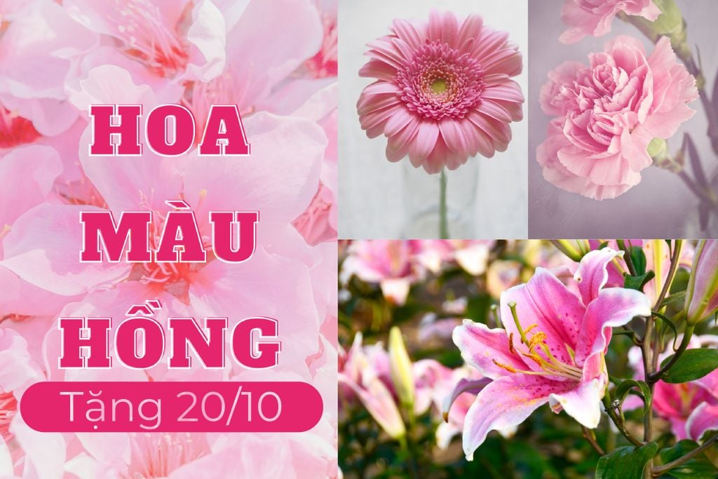 Hoa màu hồng