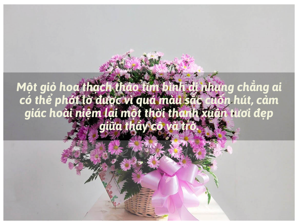 Hoa Thạch Thảo