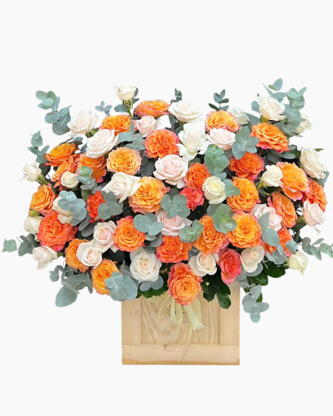  Hộp Hoa Ánh Cam - HH185 