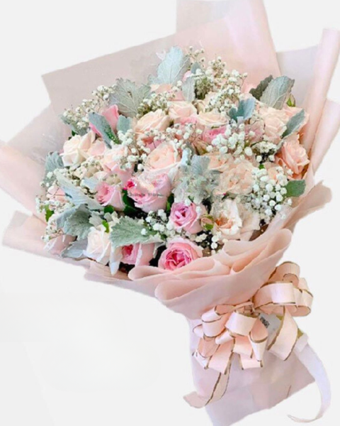 Hoa Bó Dài: Niềm Vui Mới - HBD208