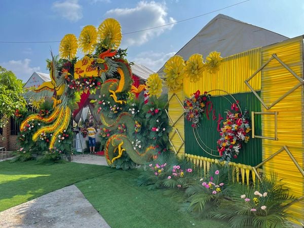 Cổng cưới miền Tây thường mang các gam màu chủ đạo bắt mắt như: vàng, đỏ, cam, xanh lá,...