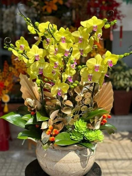 Lan hồ điệp vàng 10 cành thường được lựa chọn làm quà tặng cho đối tác, khách hàng