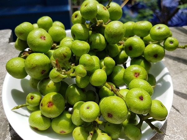 Sung thể hiện sự sung túc.