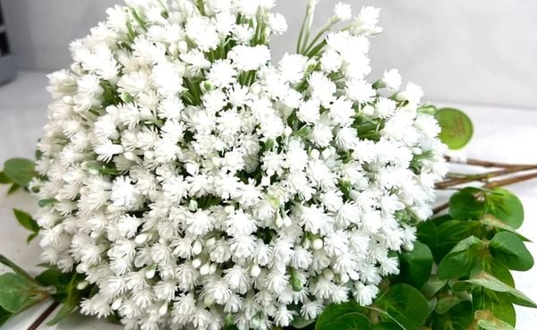 Bó hoa màu trắng tượng trưng cho sự bình yên
