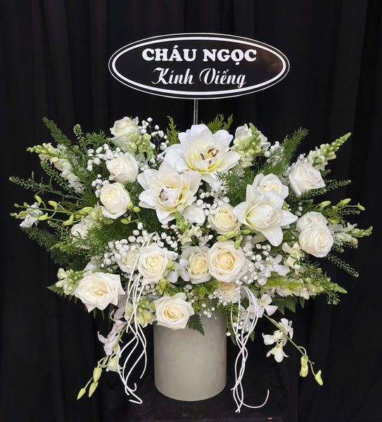 Hộp Hoa Tươi: Hoa Hộp Hương Trắng Tri Ân - HH71
