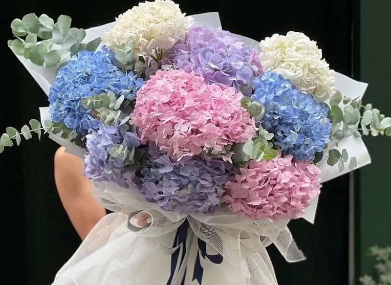 Hydrangea bouquet for beloved wife's birthday