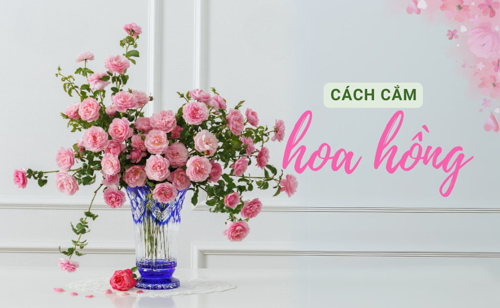 20 Cách cắm hoa hồng đẹp nhất phù hợp mọi không gian, đơn giản dễ thực hiện