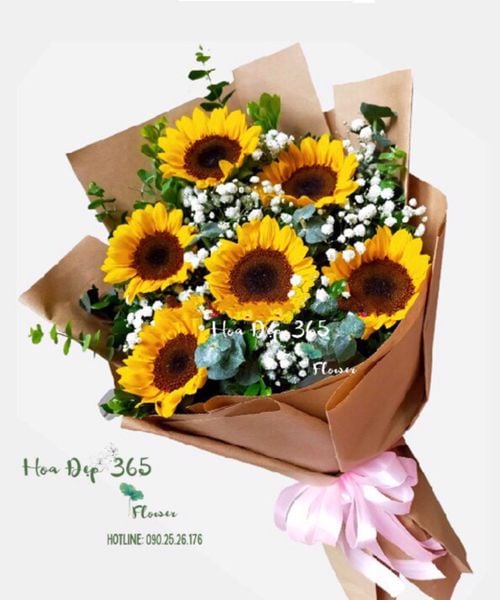 Bó Hoa Hướng Dương