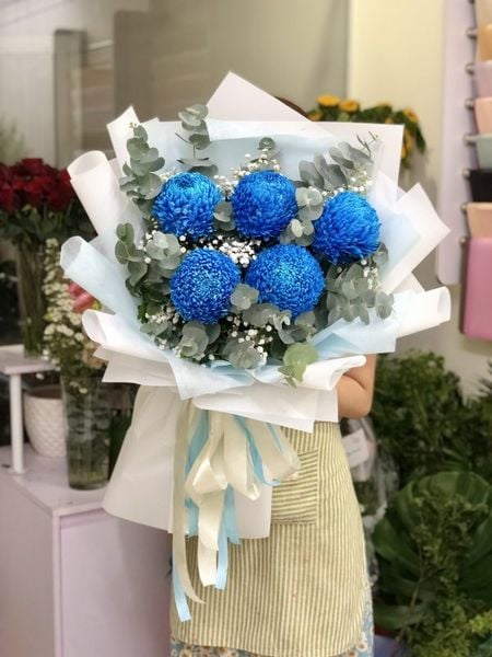 Cúc mẫu đơn xanh dương
