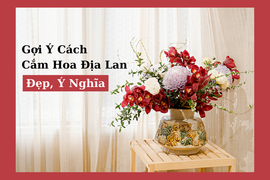 Địa lan — Cymbidium