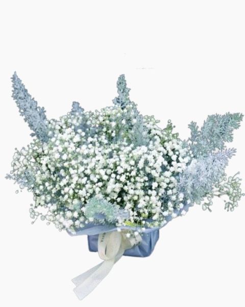 Hoa Để Bàn: Hoa Để Bàn - Ovan 13