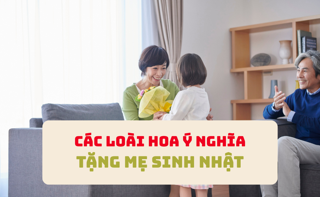 Hoa tặng sinh nhật mẹ nên tặng loại nào ý nghĩa? Mẫu hoa tặng mẹ đẹp nhất