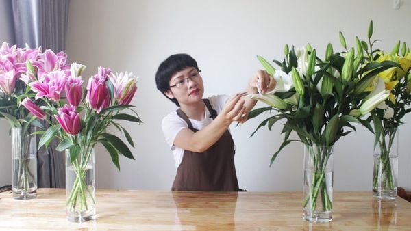 hướng dẫn cắm hoa ly đẹp