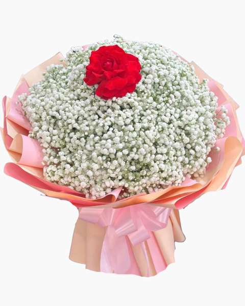 Hoa Bó Tròn: Bó Hoa Đóa Hồng Baby - HBT110
