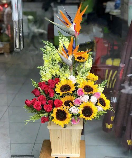 Hoa Hướng Dương: Hộp Hoa Khai Trương Để Bàn Refresh - HCH35