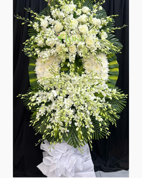  Lời Thương Nhớ - HTL145 