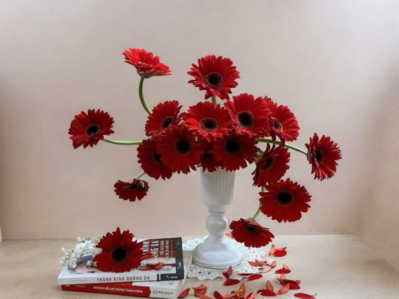 Các loại bình cắm hoa đồng tiền đẹp