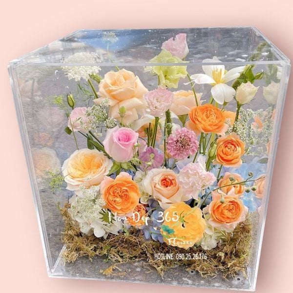 quà tặng kèm theo lời chúc mùng 1 đầu tháng