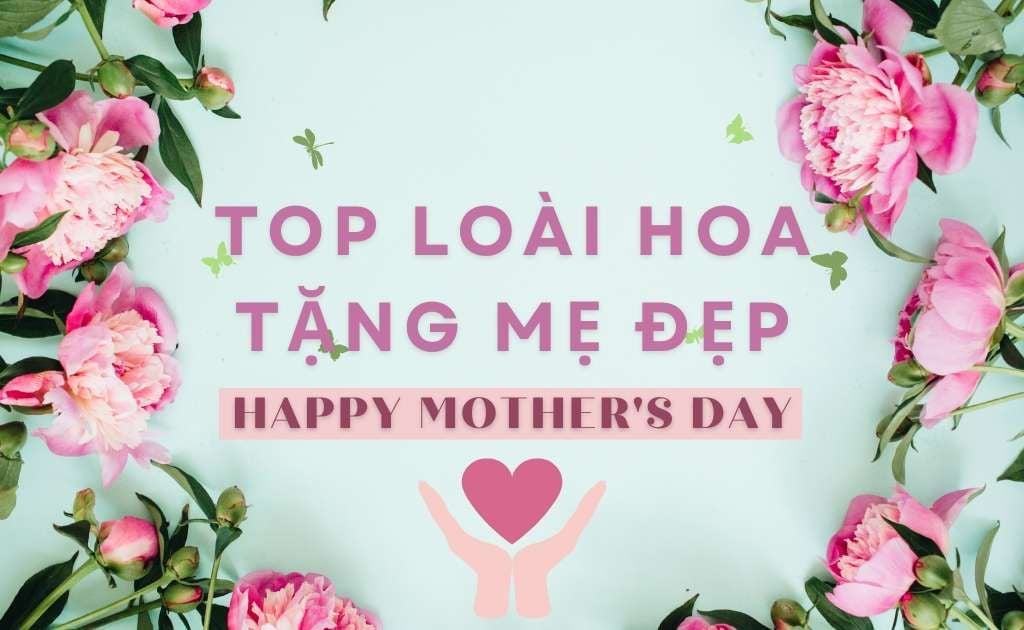Top 10 loài hoa tặng mẹ đẹp cho Ngày của Mẹ 2026 ý nghĩa nhất