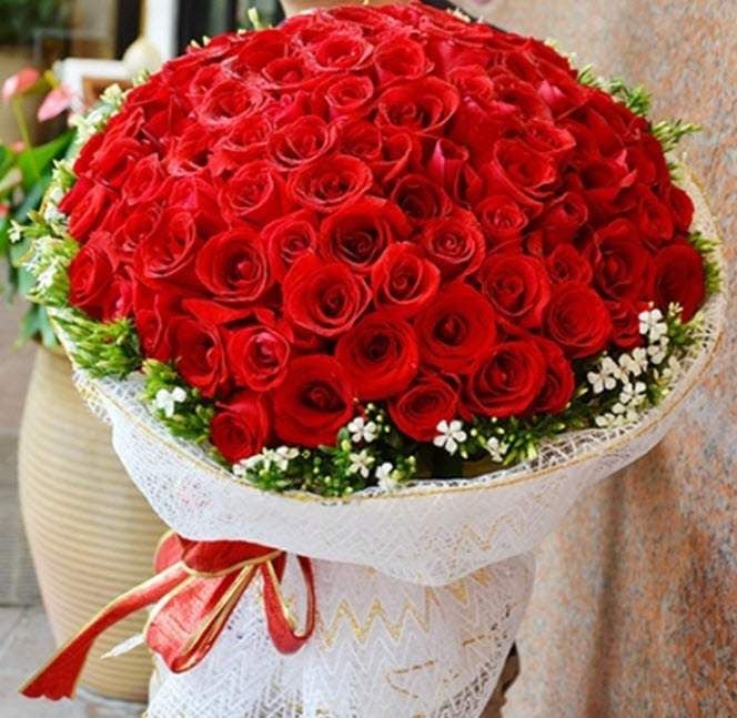 5 Loài hoa cảm ơn đẹp giúp bày tỏ lòng biết ơn sâu sắc
