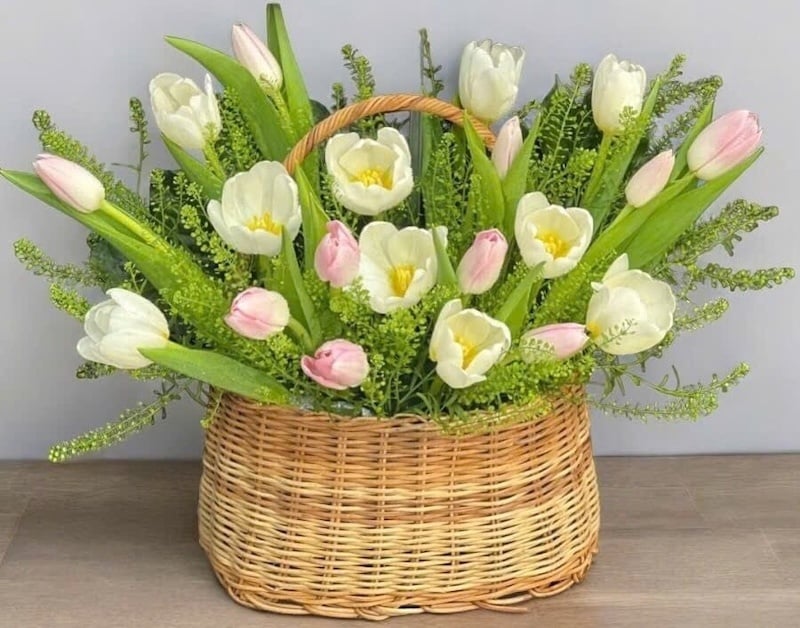 Giỏ Hoa Tươi Tulip Mix Màu - HG63