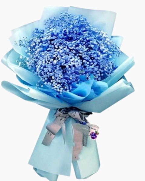 Hoa Bó Dài: Với Anh Em Là Bầu Trời - HBD101