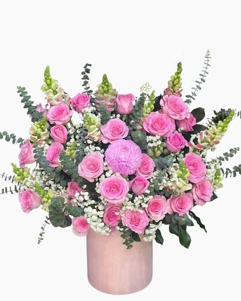 Hộp Hoa Hồng Ánh Khai Hoa - HH65