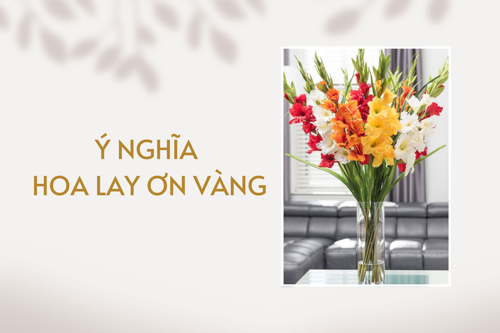 Ý Nghĩa Hoa Lay Ơn Vàng & Mẫu Hoa Cắm Đẹp, Mới Nhất 2026