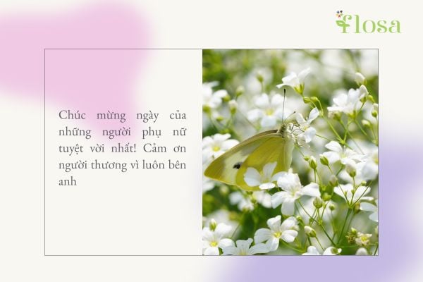 lời chúc 8/3 cho người yêu 2
