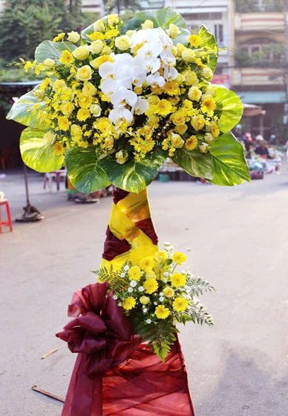 Hoa Khai Giảng: Kệ Hoa Tầm Cao Mới - HCM14