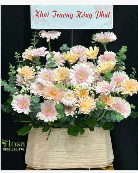 Giỏ Hoa Khai Trương: Giỏ Hoa Đằm Thắm - HG85