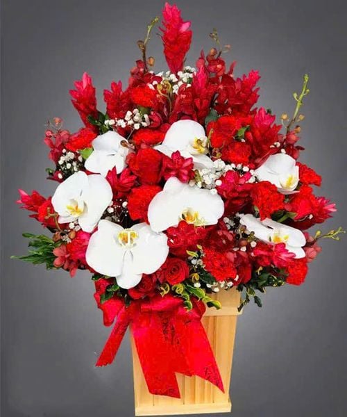Hoa Màu Đỏ: Hộp Hoa Tiếp Bước - HCH48