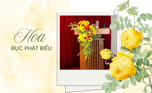 Hoa Bục Phát Biểu