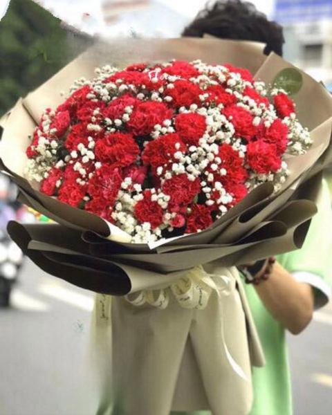  Red Carnation - HBT56 